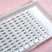 Load image into Gallery viewer, Pointy Base Premade Volume Lash Trays