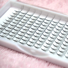 Load image into Gallery viewer, Pointy Base Premade Volume Lash Trays